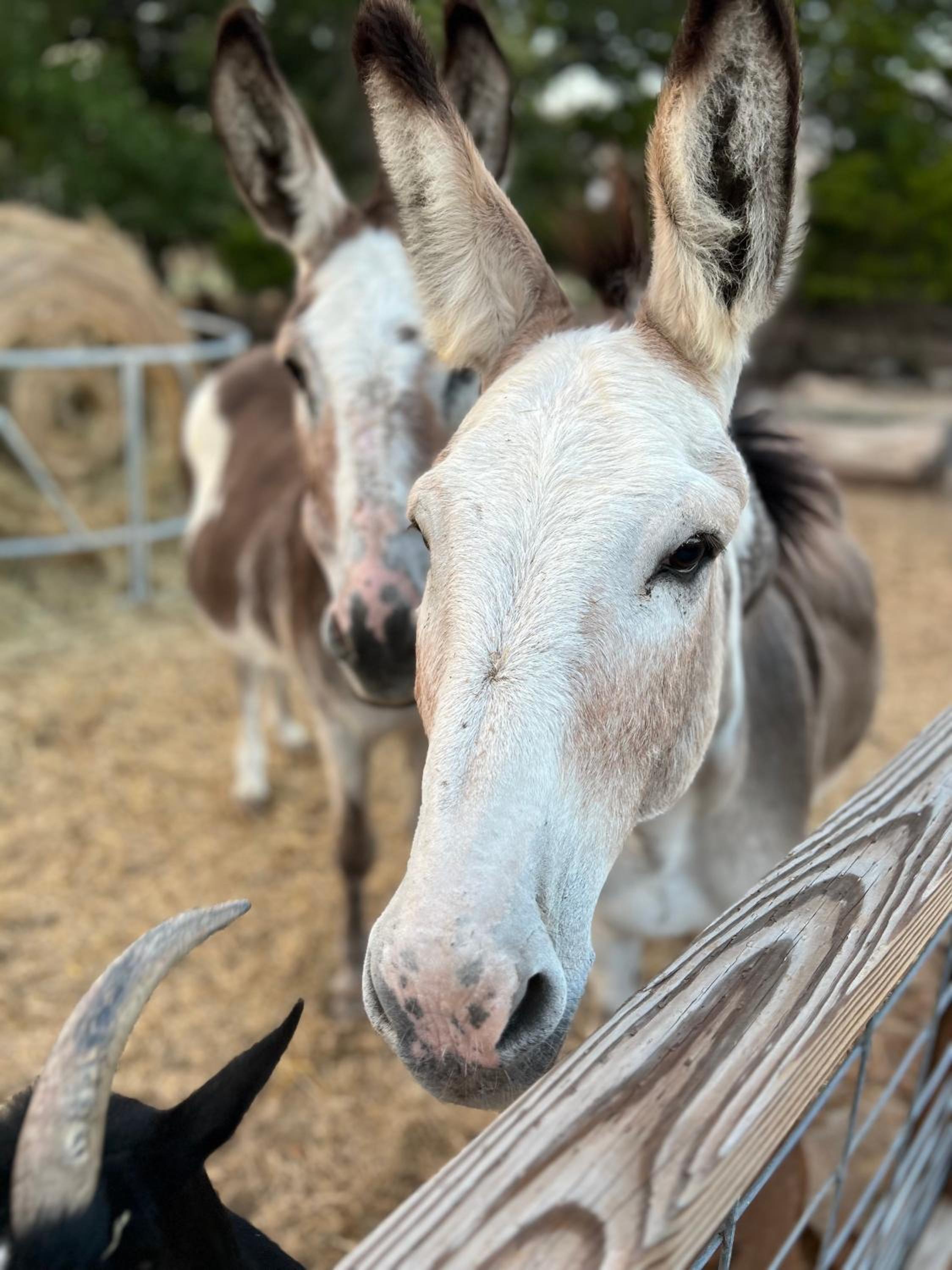 other