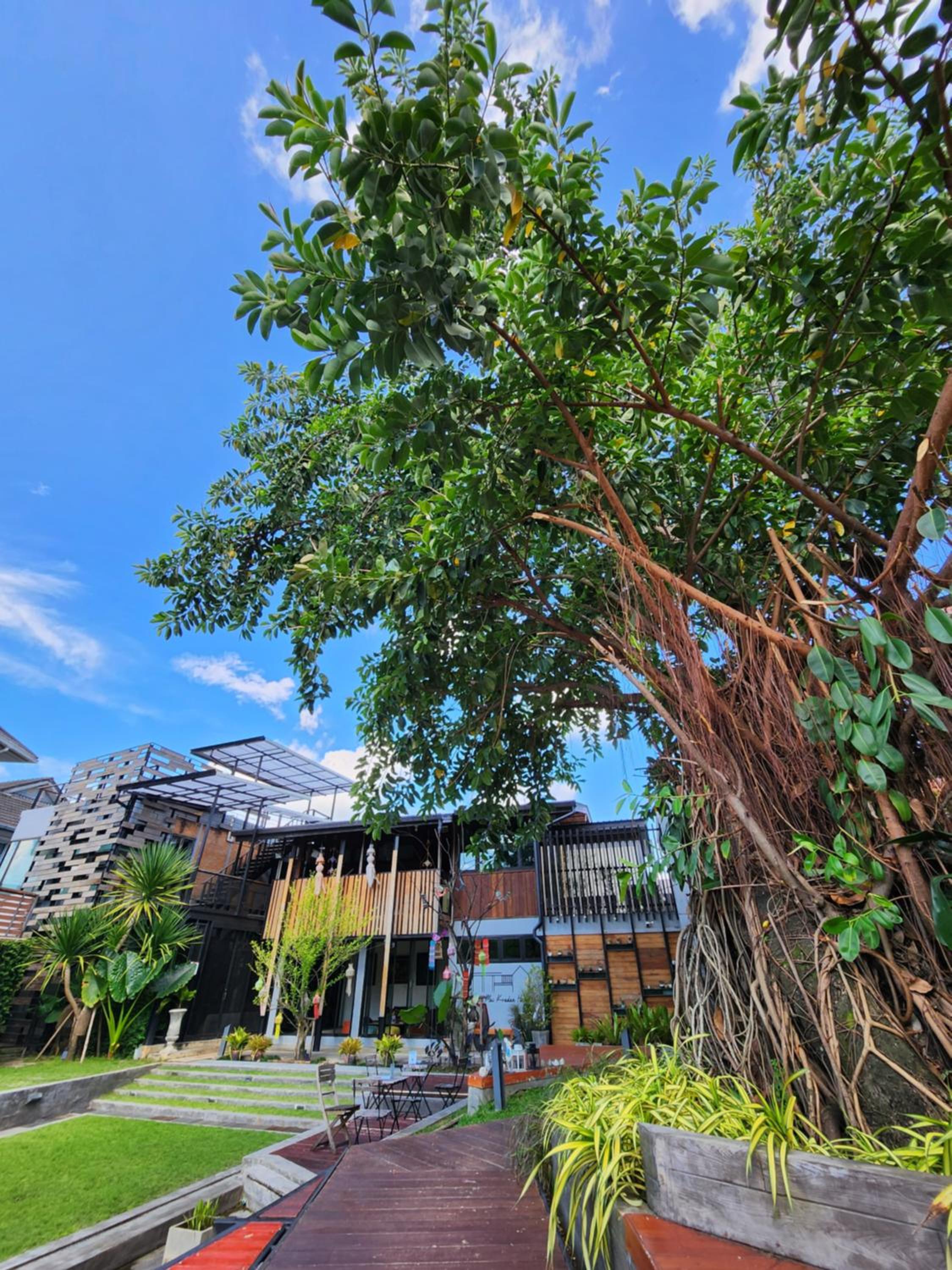 Baan Mai Kradan Hostel Chiang Rai