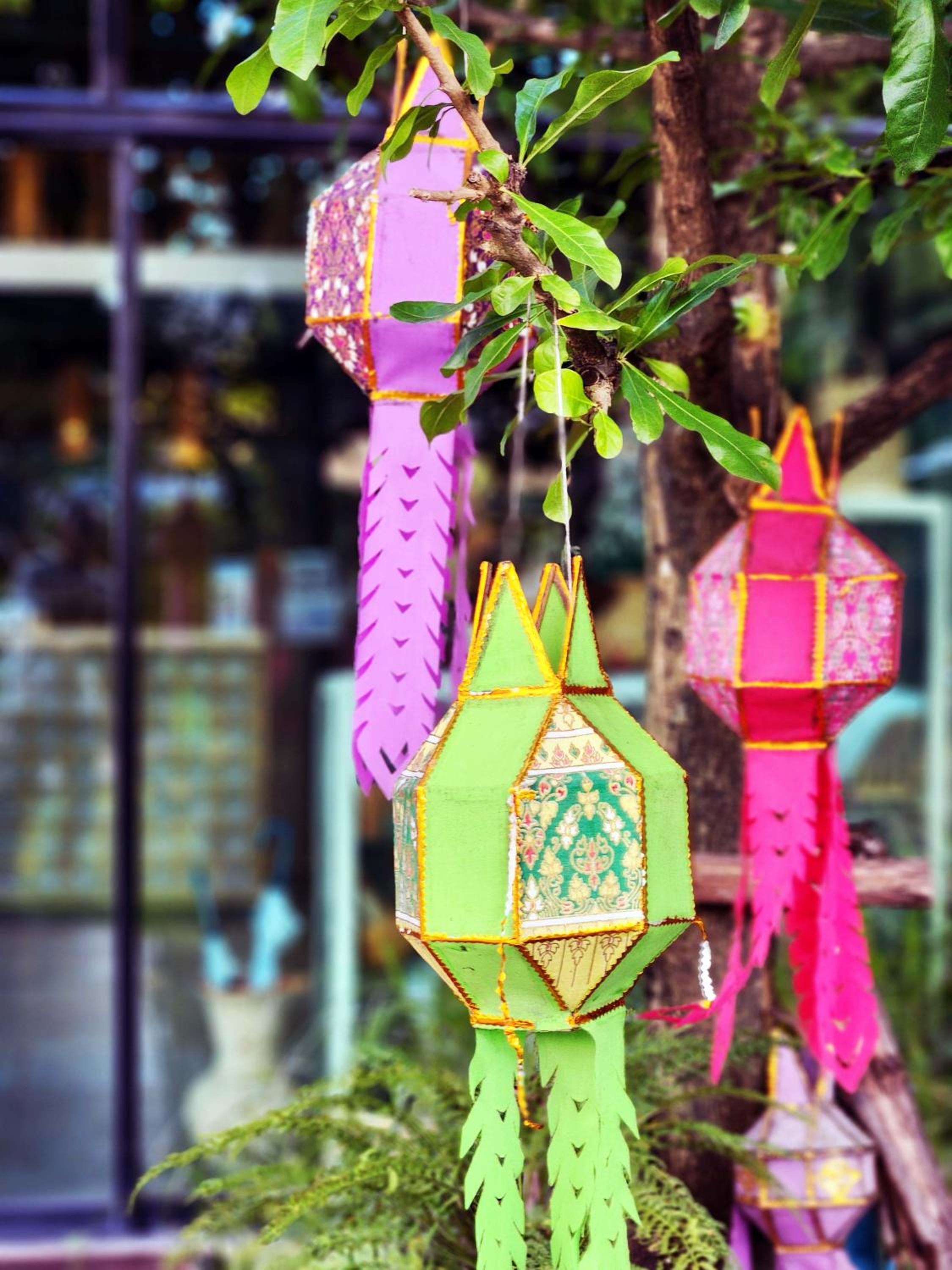 Baan Mai Kradan Hostel Chiang Rai