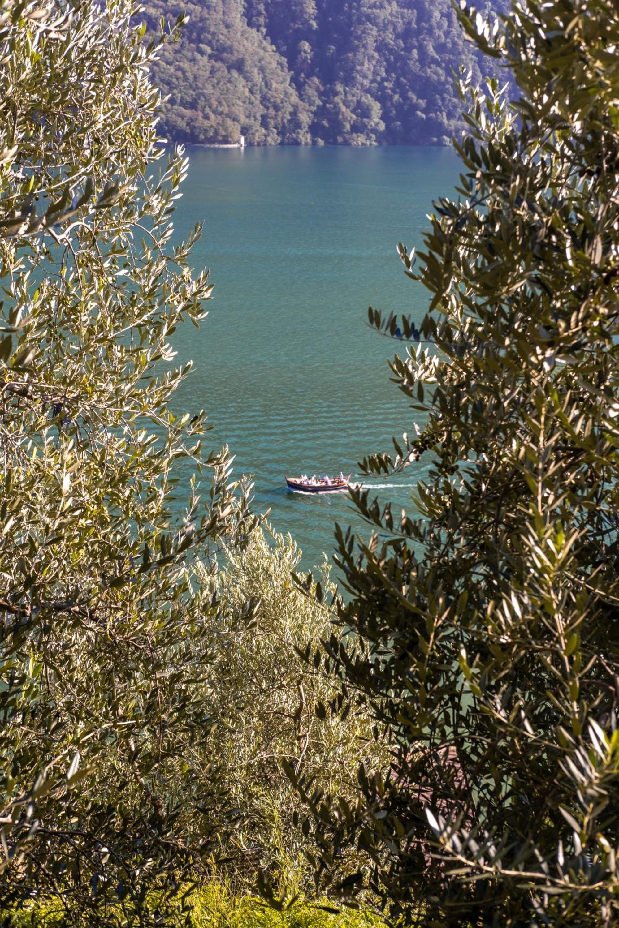[Lake 5* Gandria] - Antico Approdo