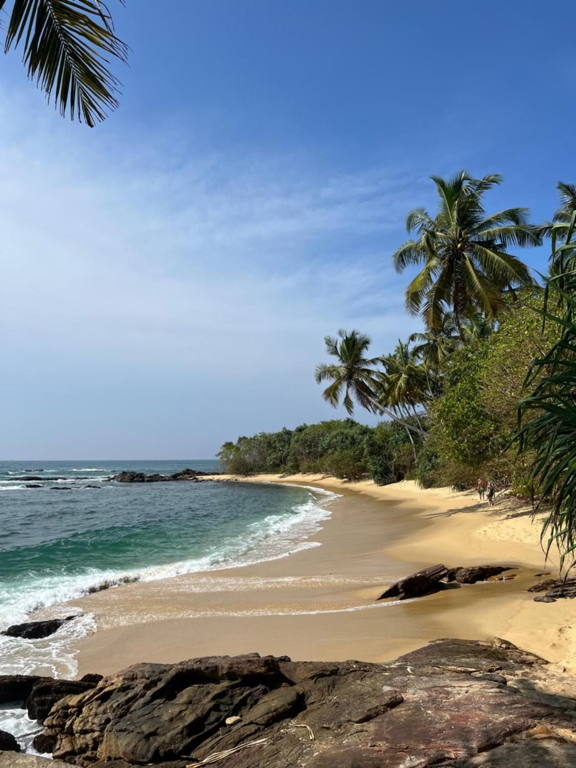 Into The Blue - Walk to 3 beaches & surf