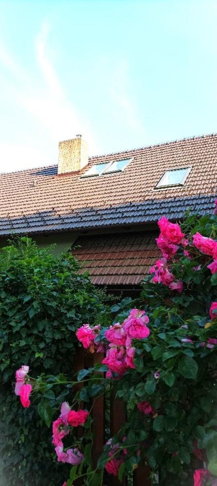 Apartmán UšeBu