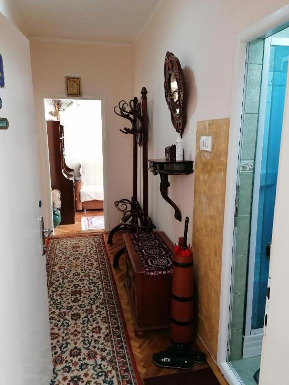Apartman Borak view 3