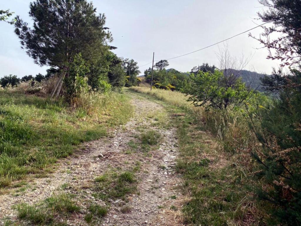 Photo 26