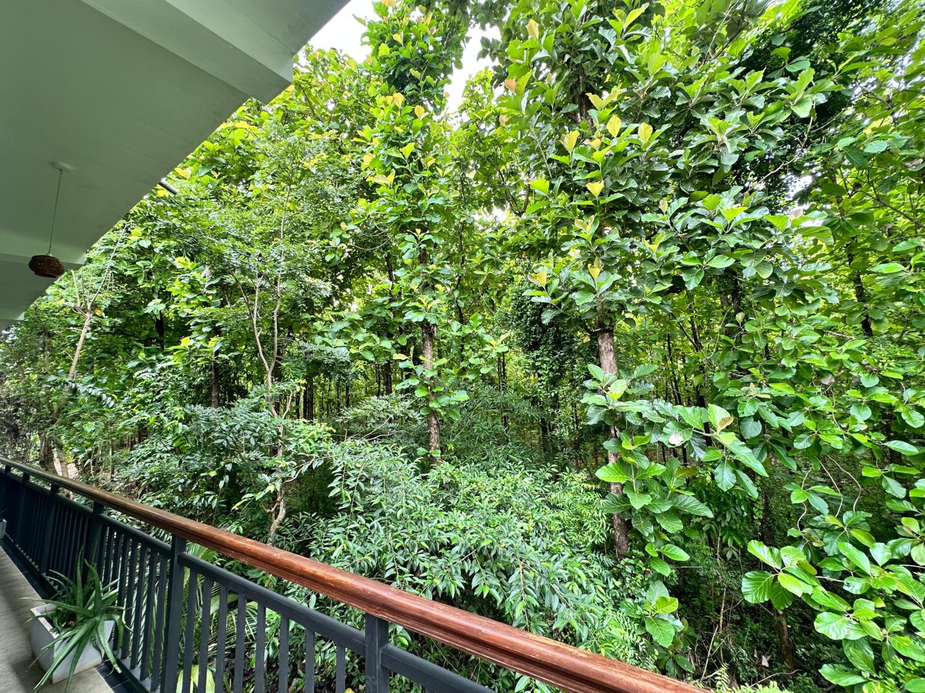 Nature House view 5