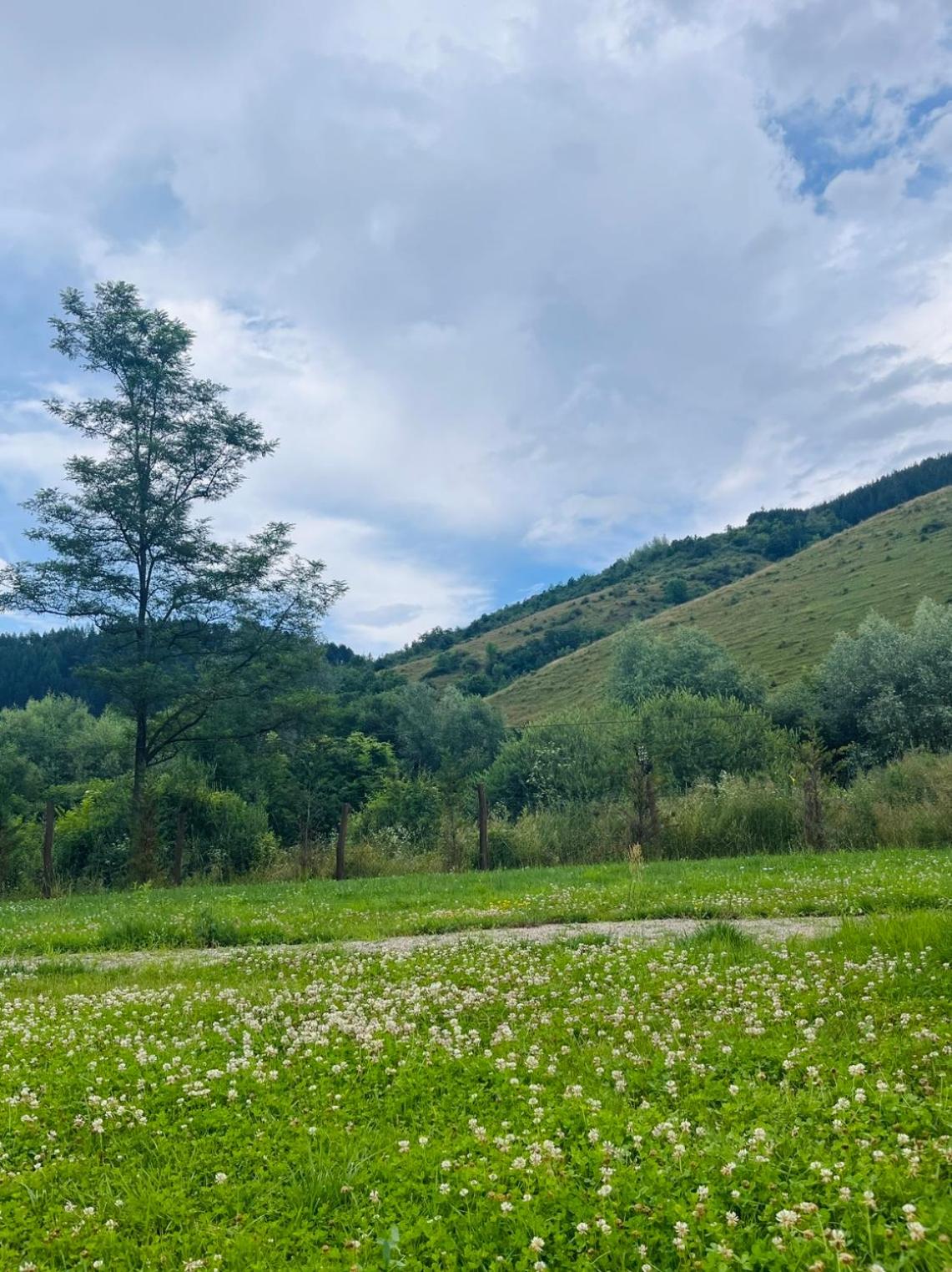 other
