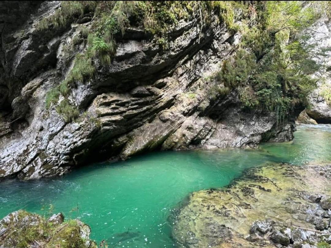 GreenRiver Apartment Vintgar Gorge-Bled view 3