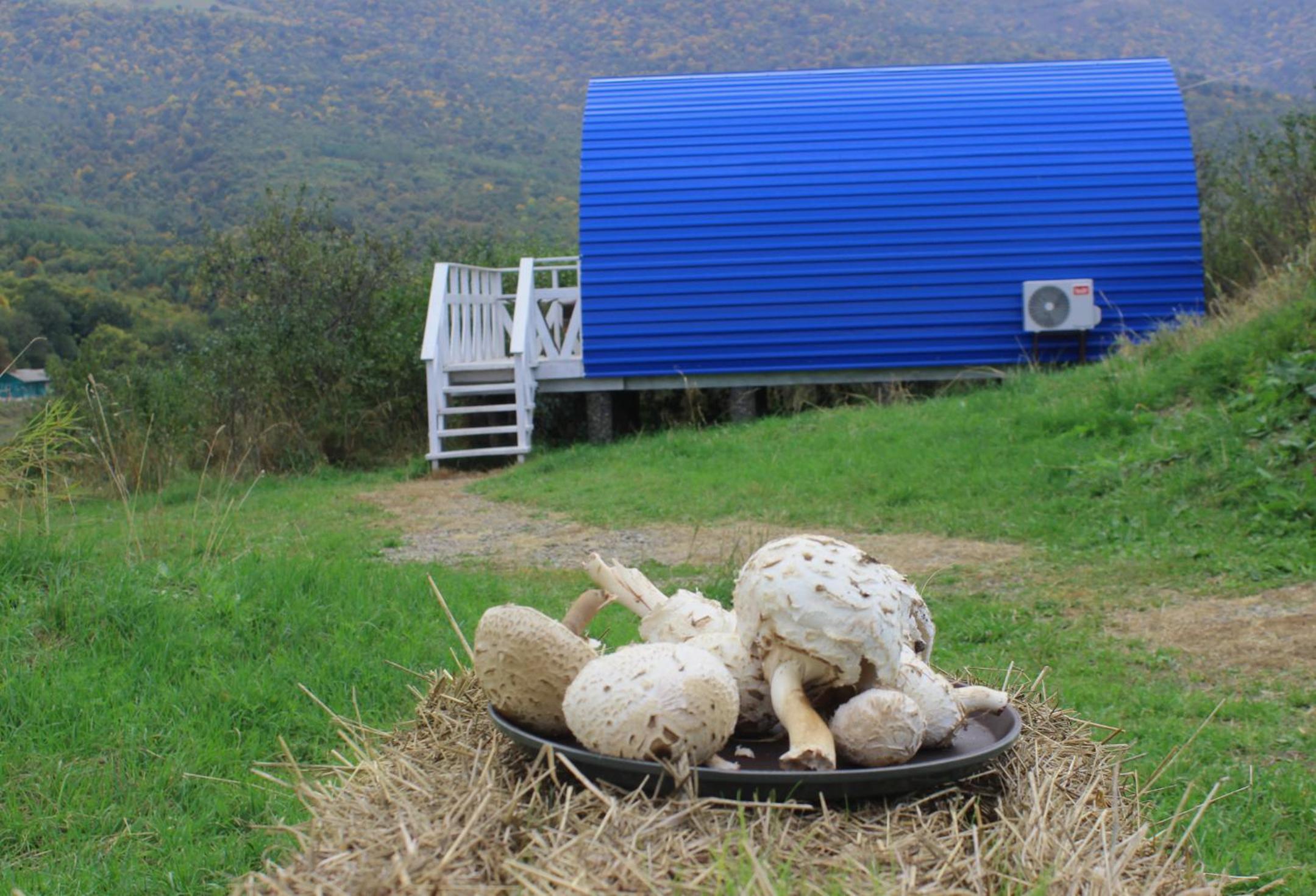 Glamping Eco Valley