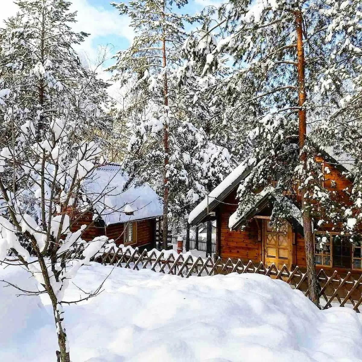 Vila Tatjana-Zlatibor