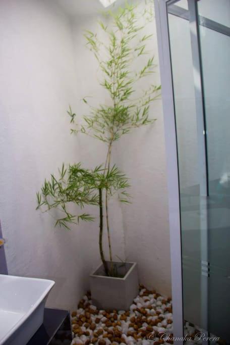 Aayu's studio apartment view 4