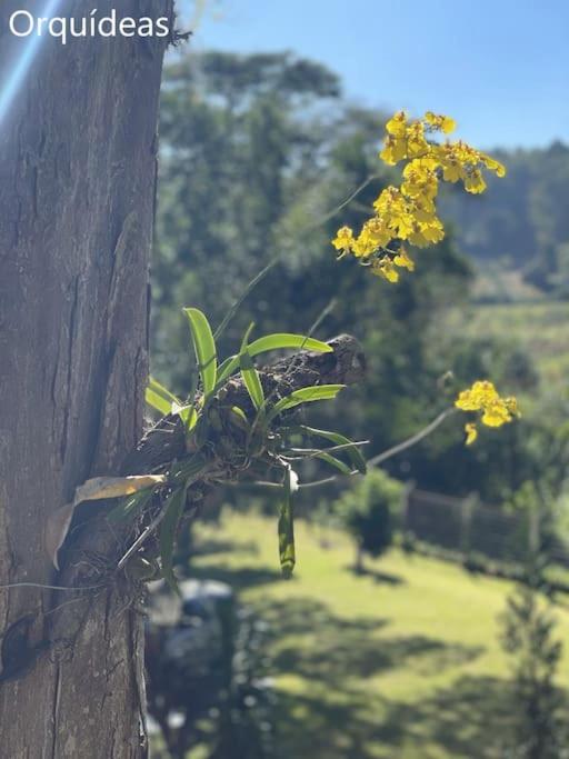 Sítio Serrano (Hidro 8 lugares + horário flexível)