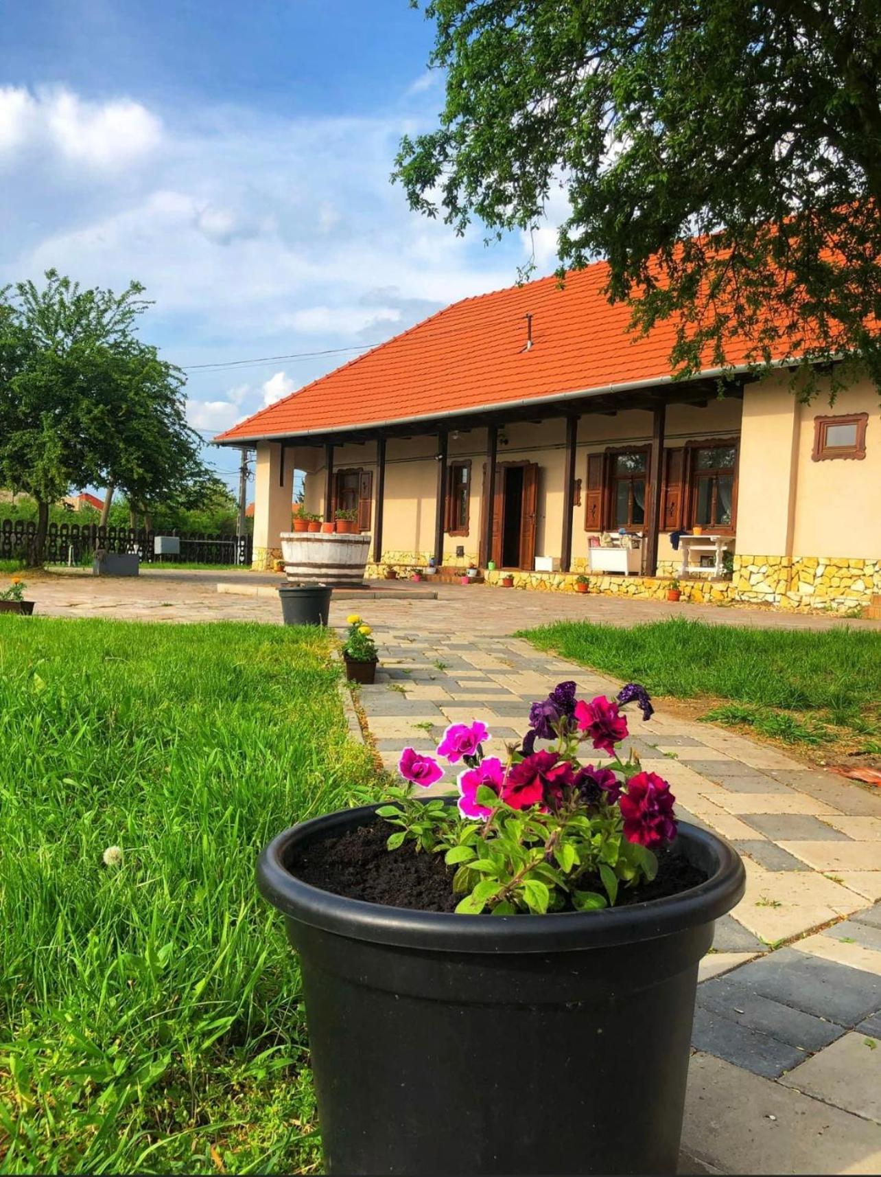 Tulipános Vendégház