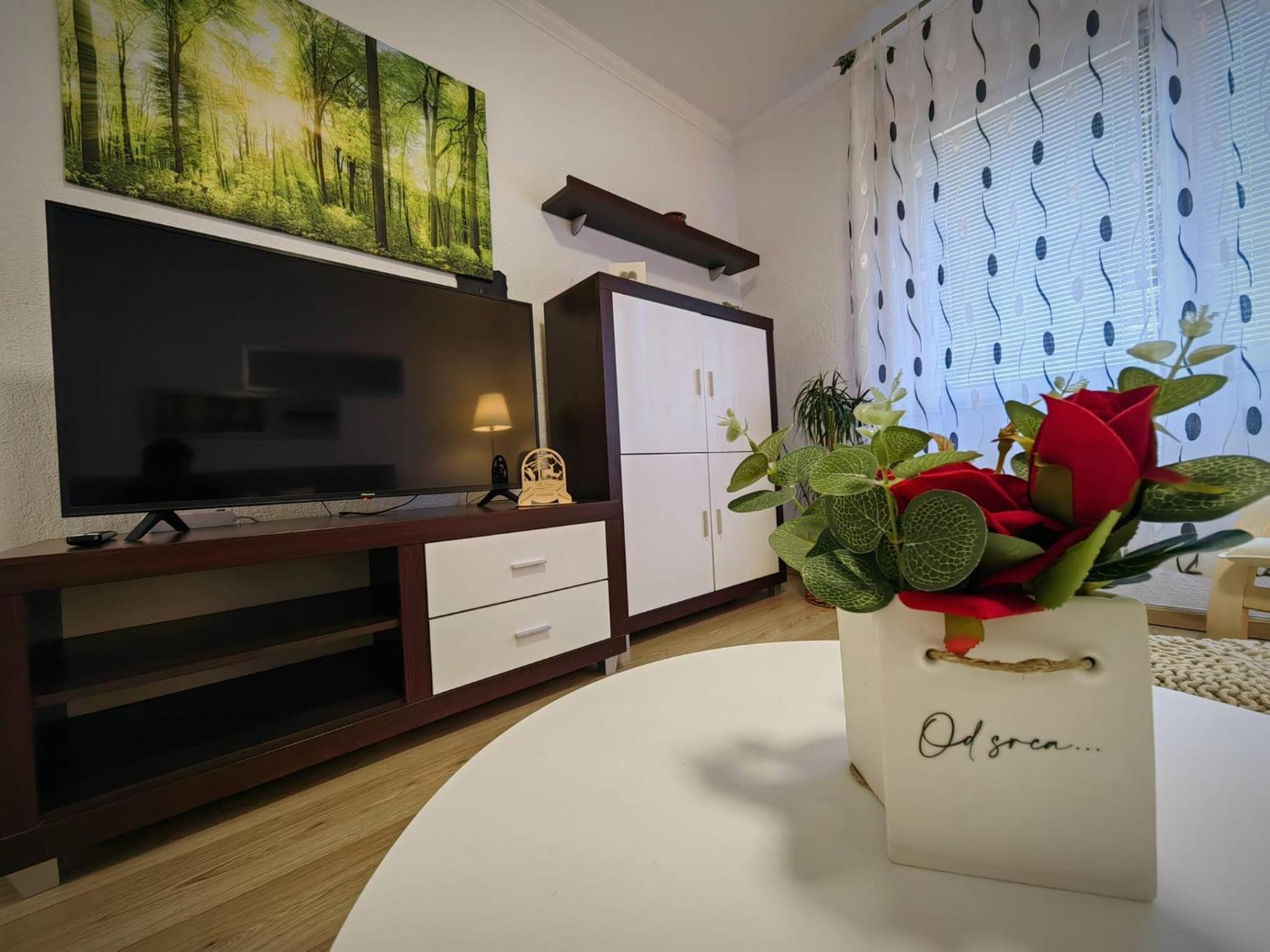 Apartmani Sabina view 2