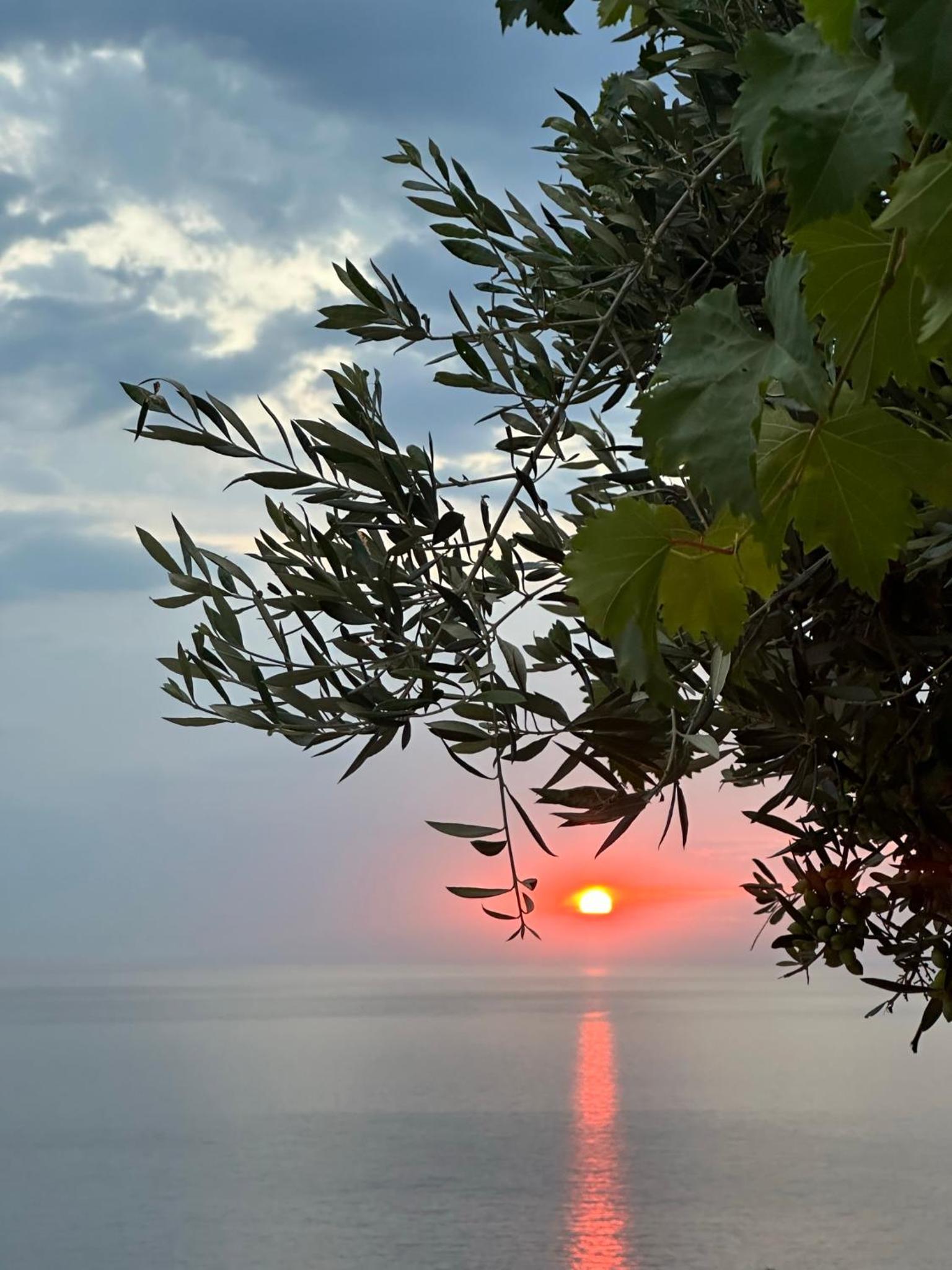 ELÉA Guesthouse himare