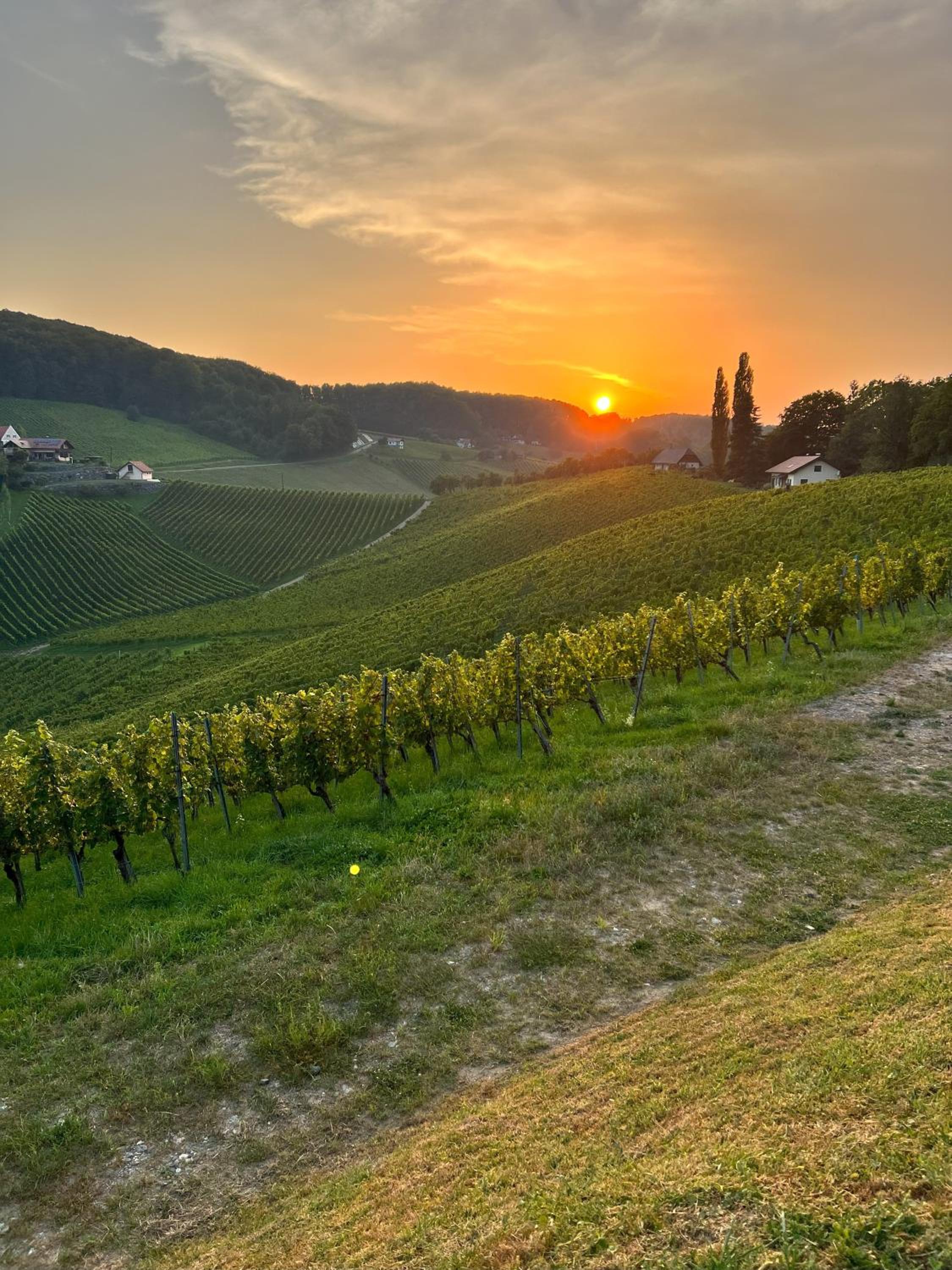 Weinlandzauber An der Lage