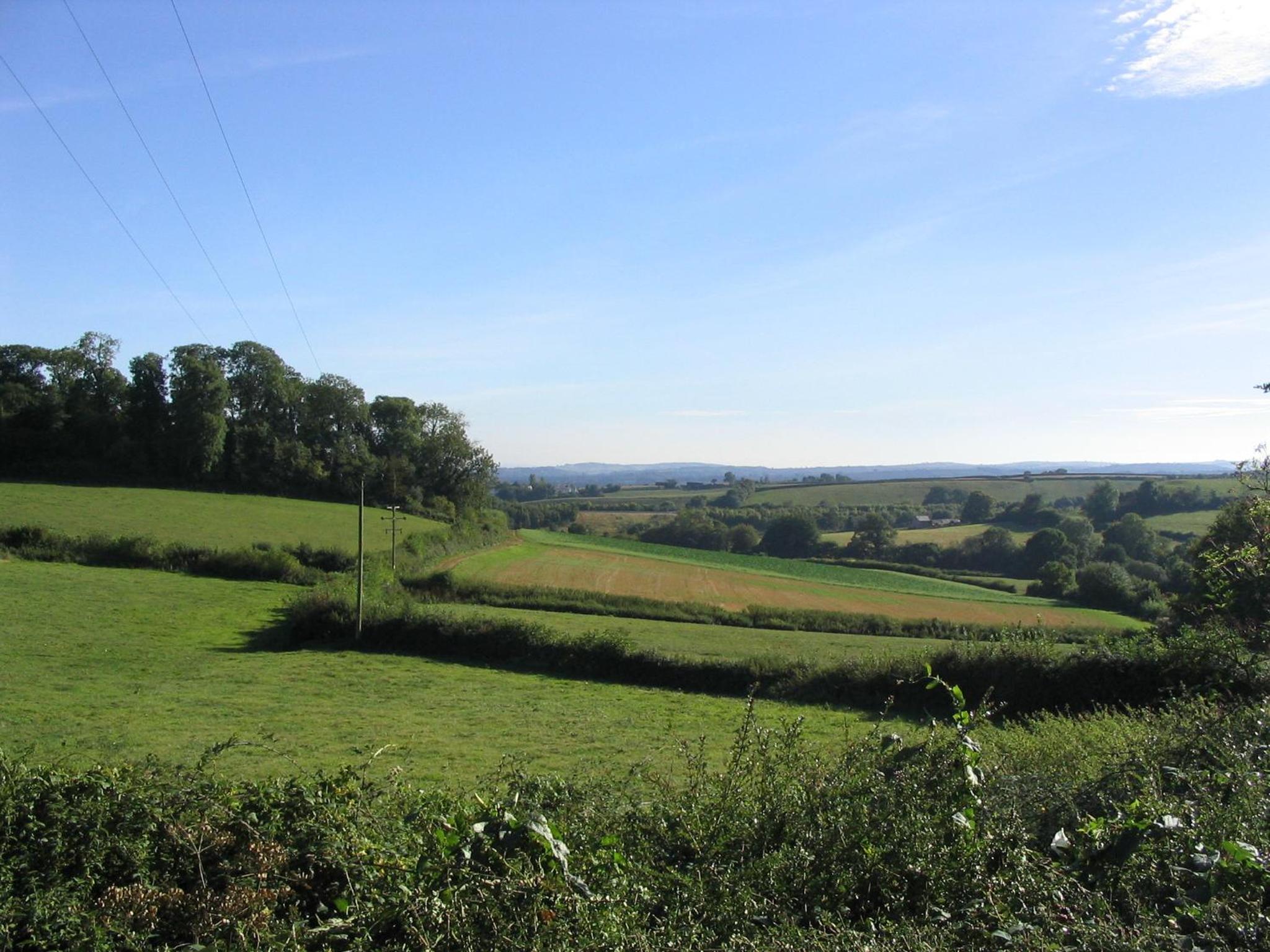 Brambles Bed and Breakfast view 4
