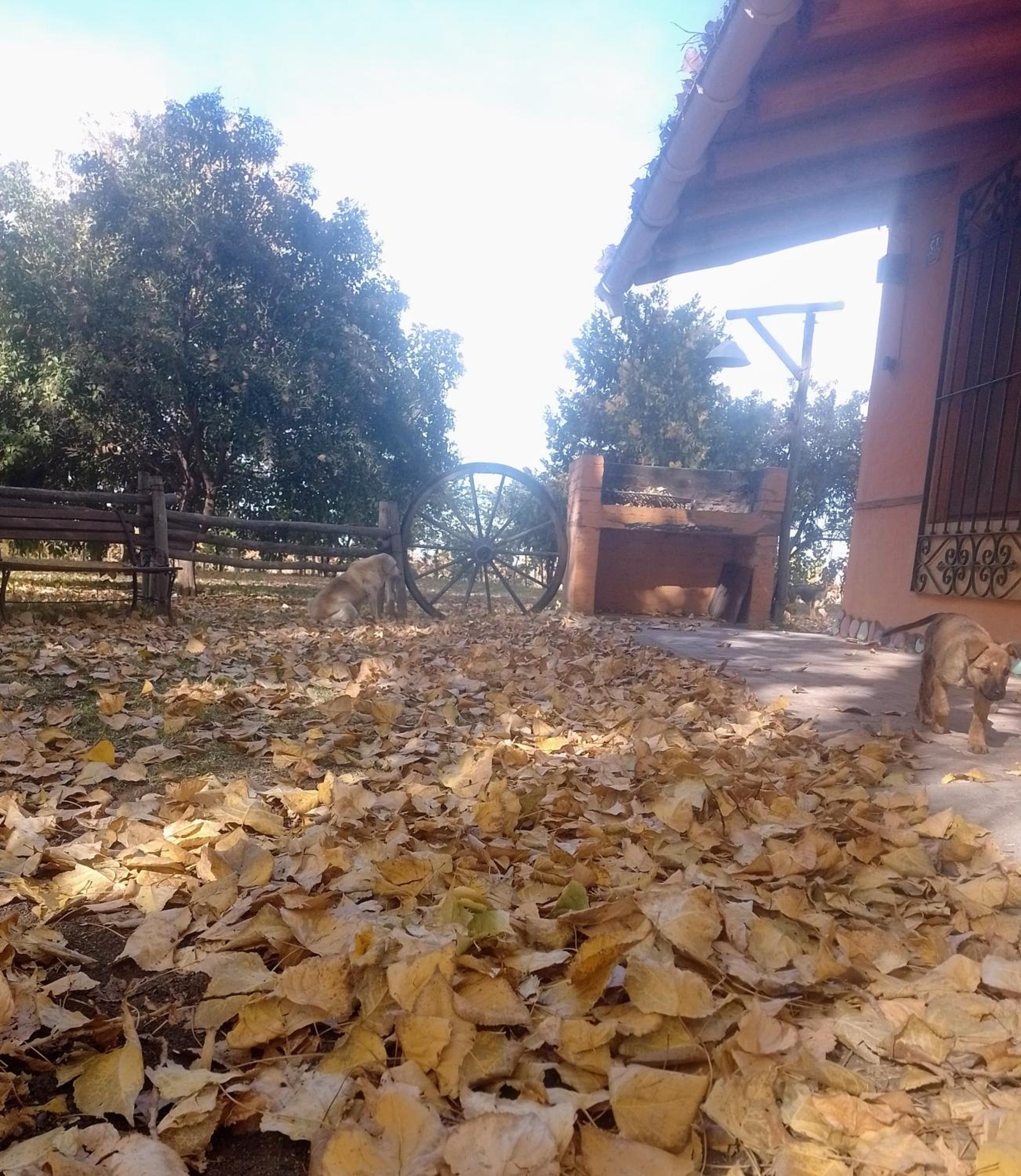 Cabañas Apheles