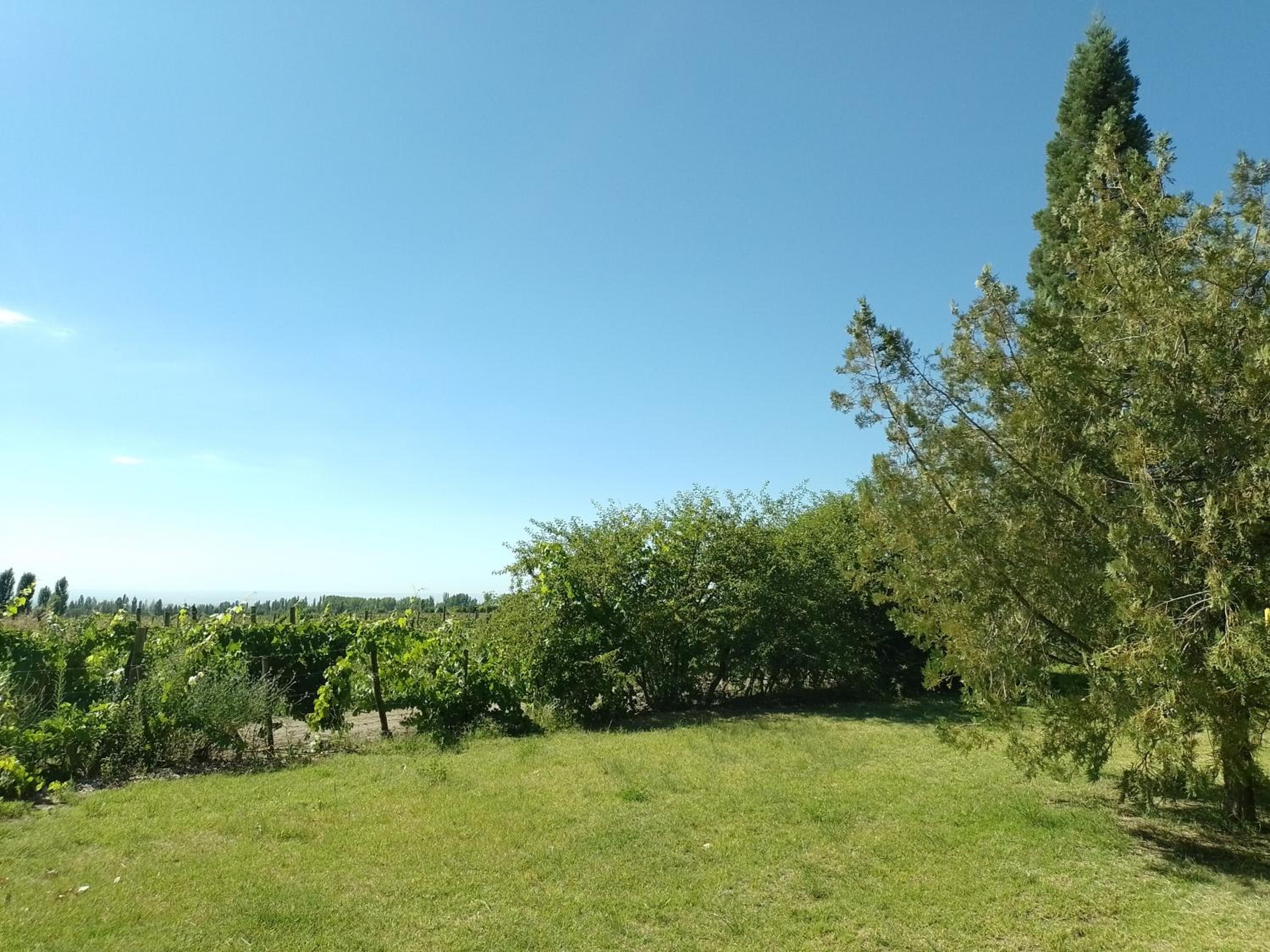 Cabañas Apheles
