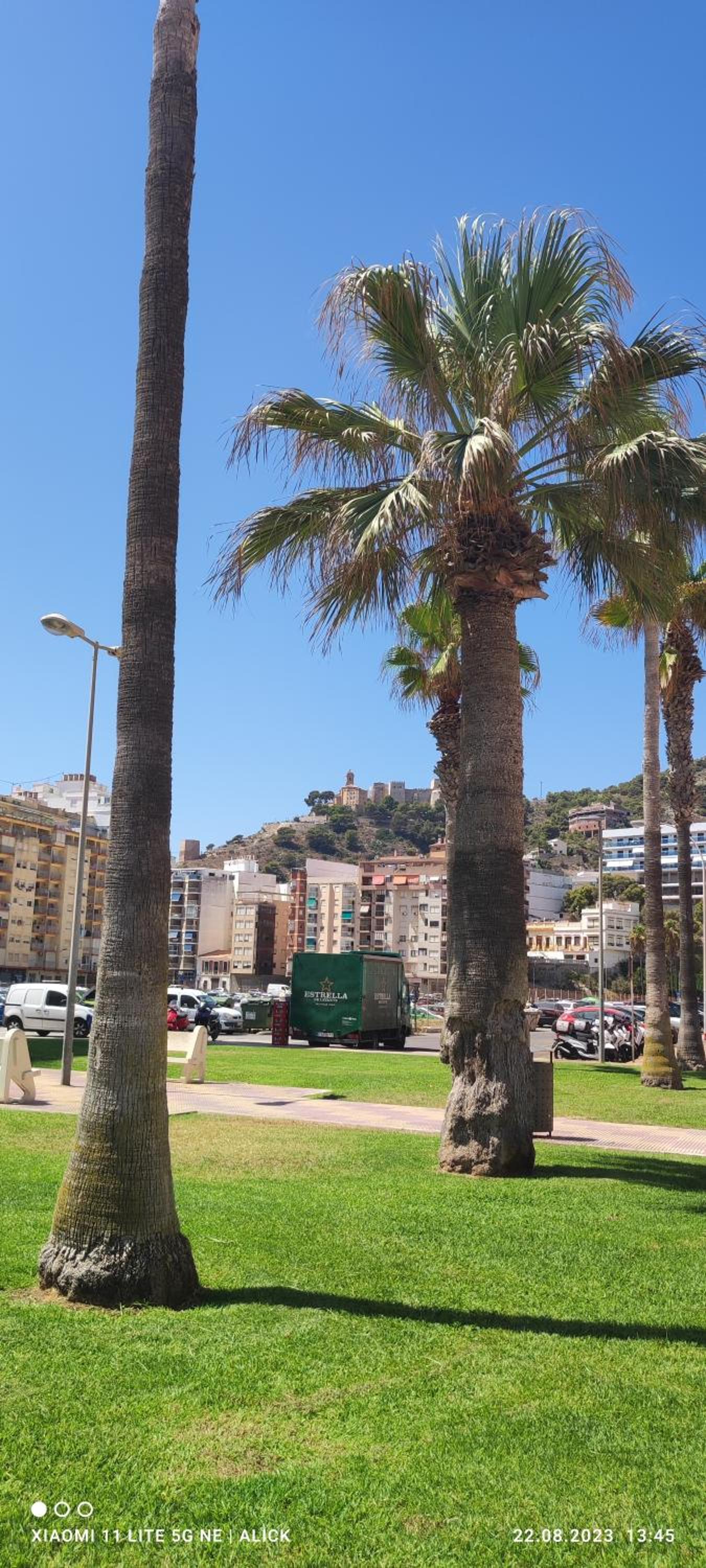 Apartament CullerA