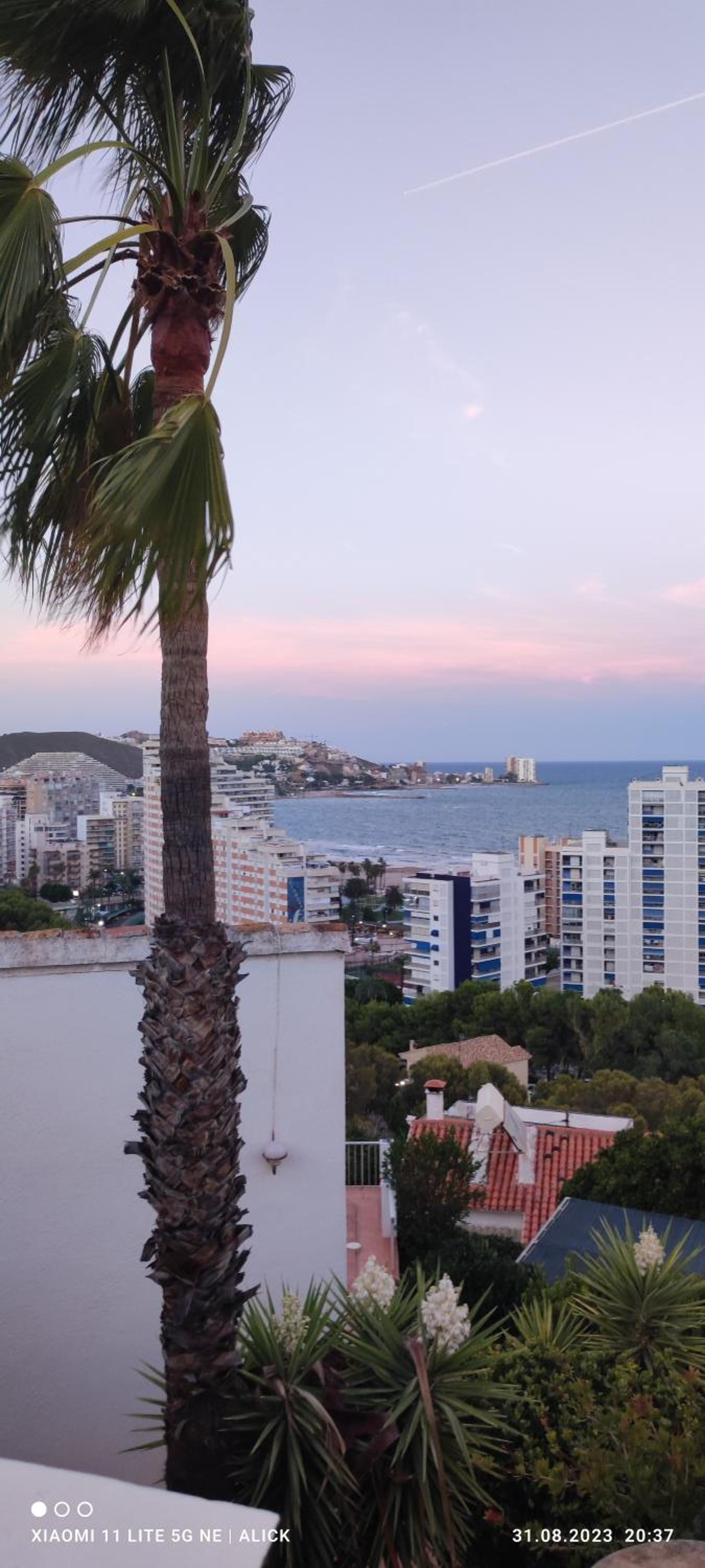 Apartament CullerA