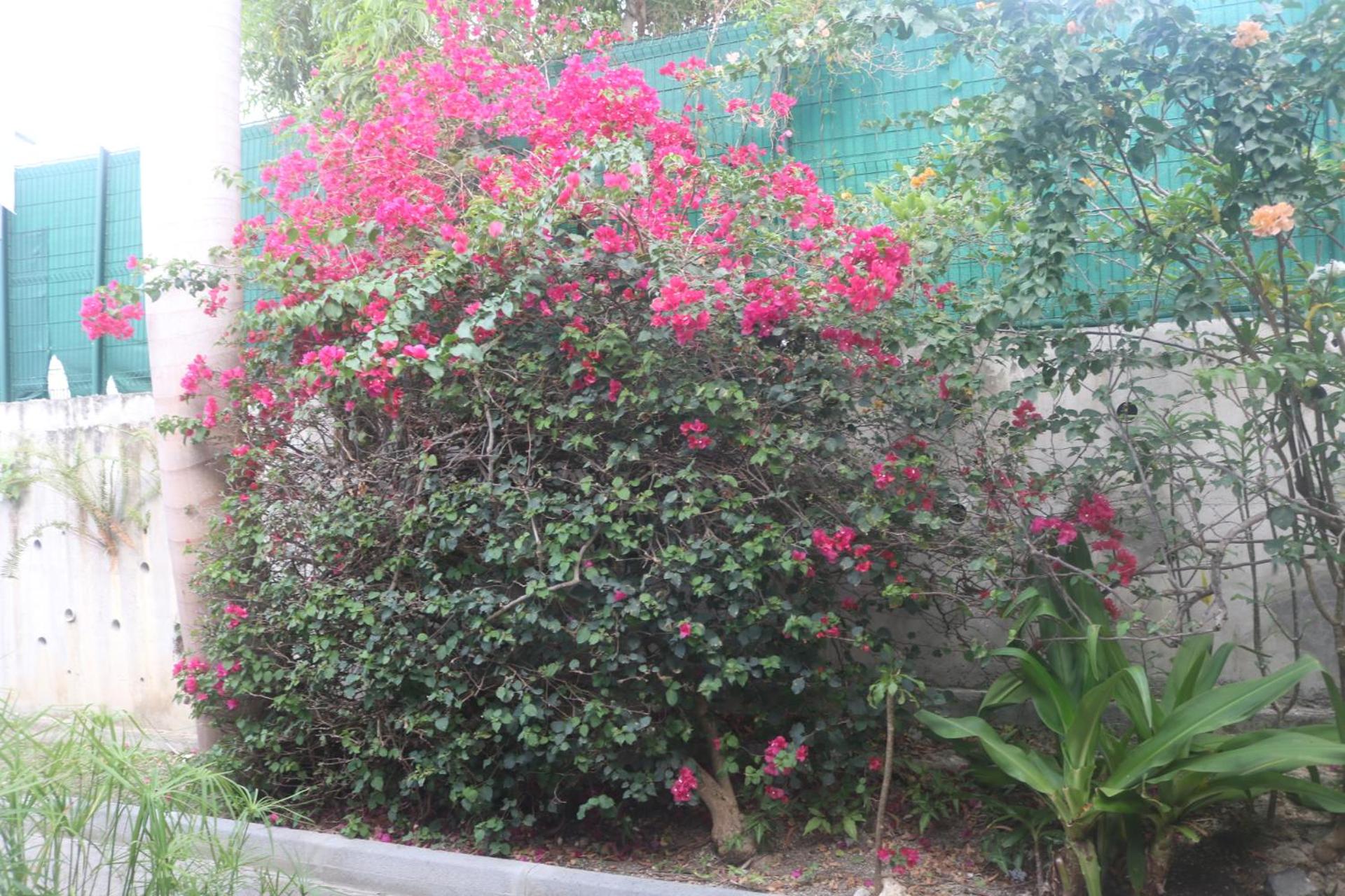 Photo 84