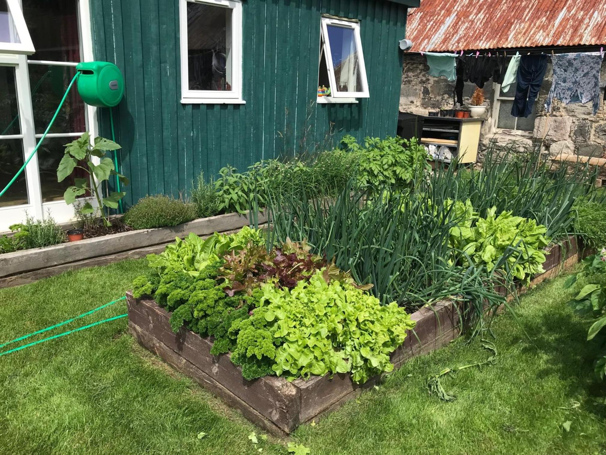 Photo 17