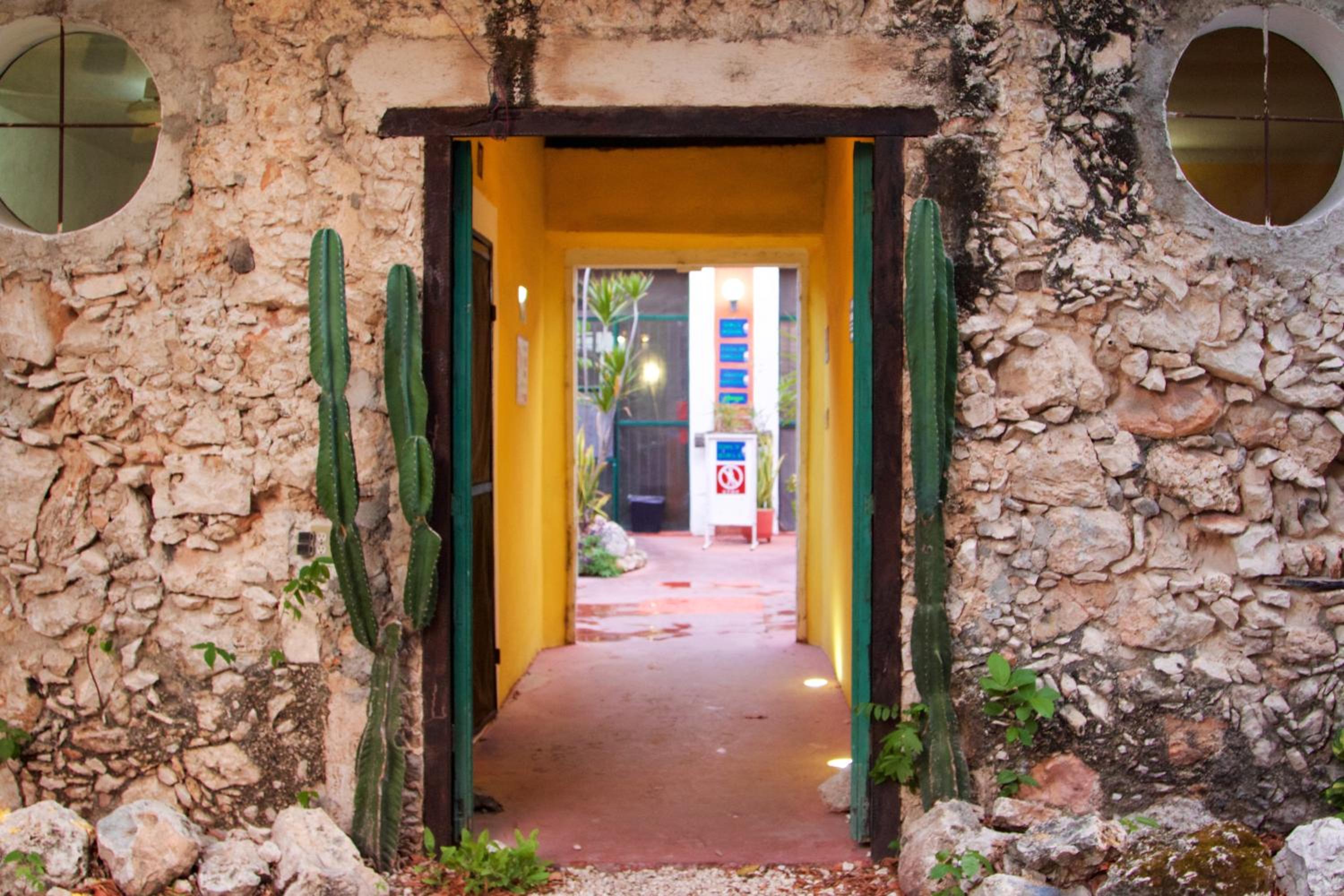 Hotel Che Nomadas Mérida Hostel Adults Only - Image 1