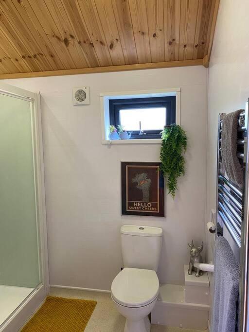 The Firkin Lodge view 5