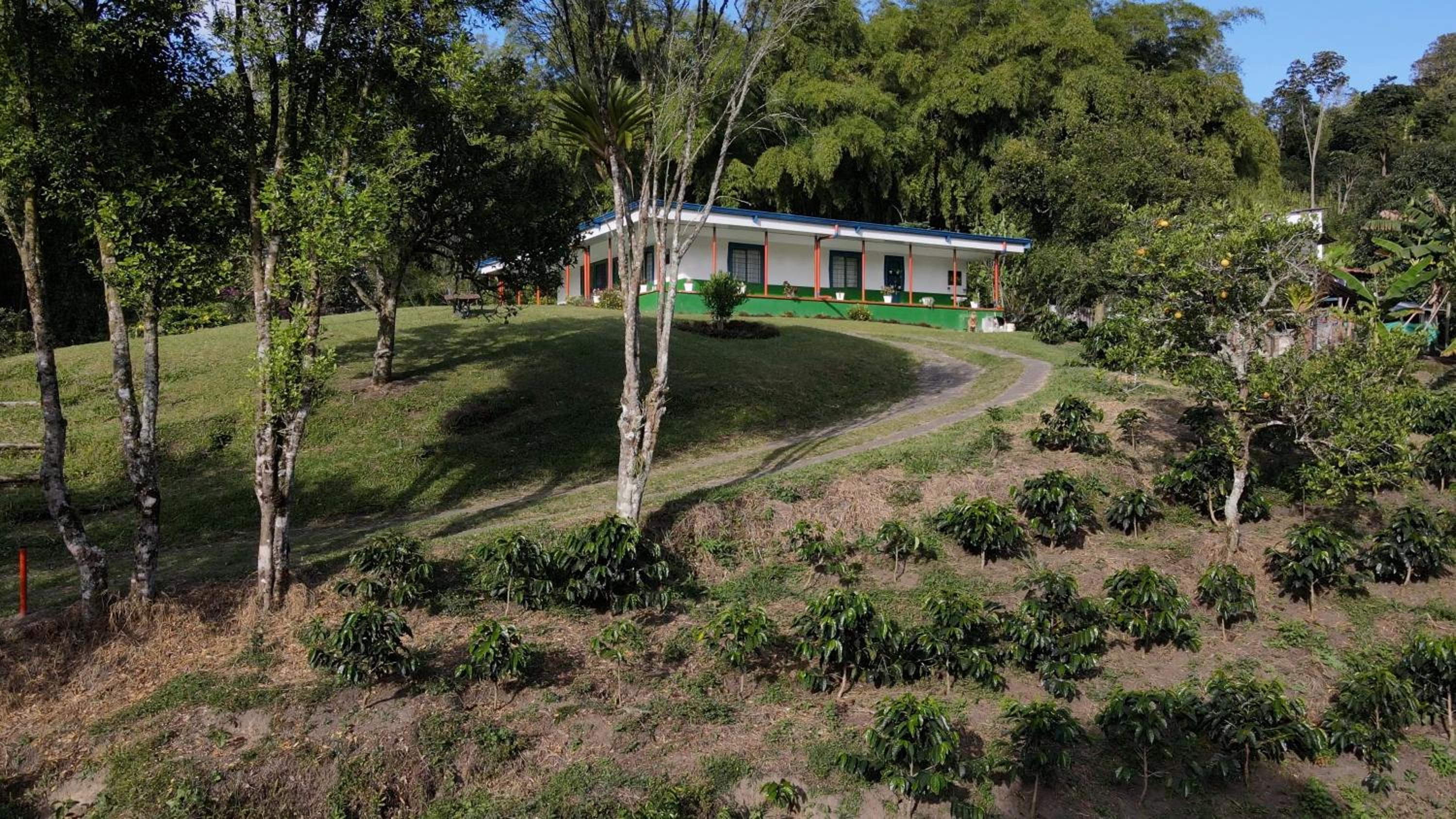 Macondo casa café