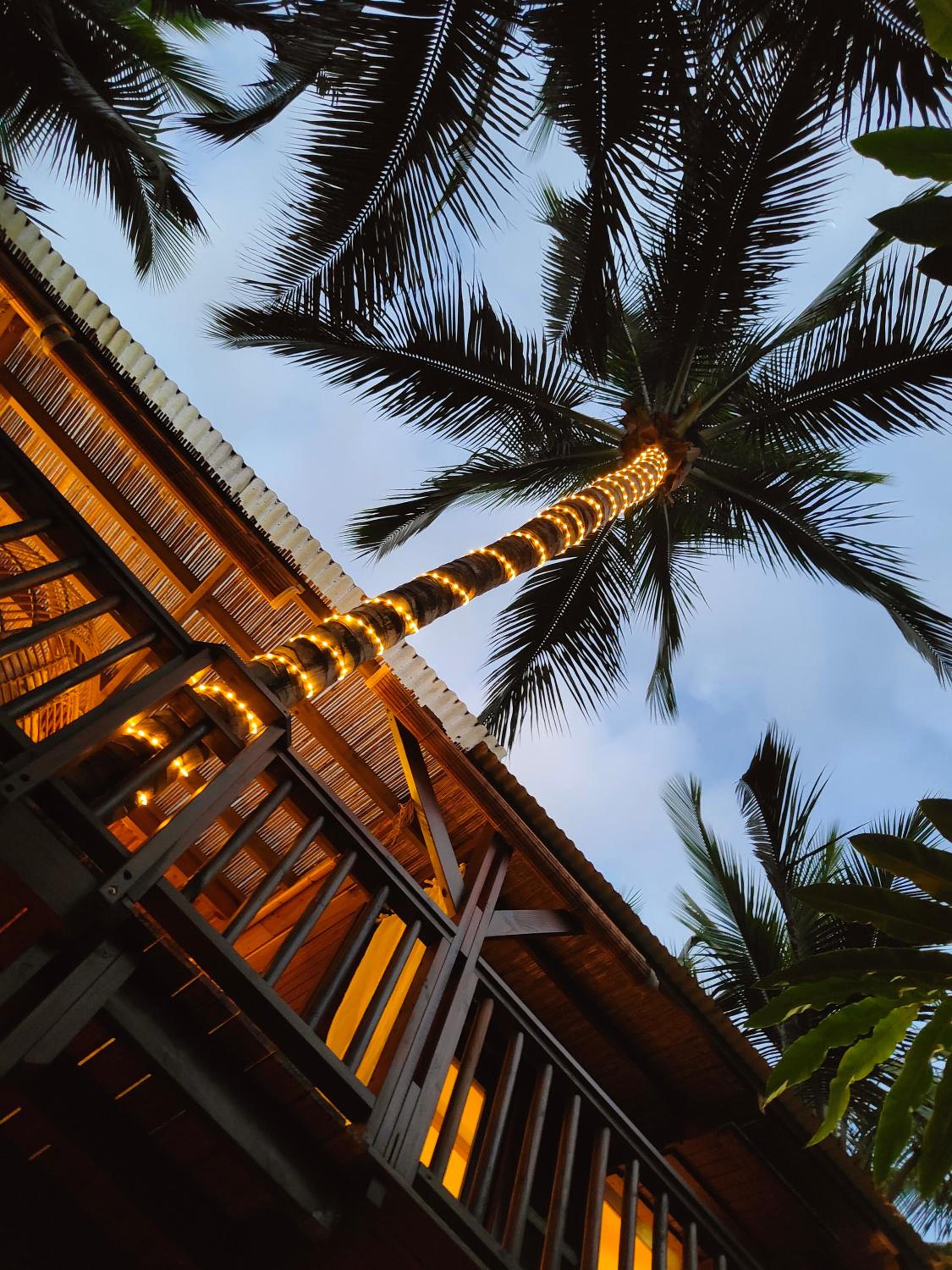 OHANA Jungle Lodges