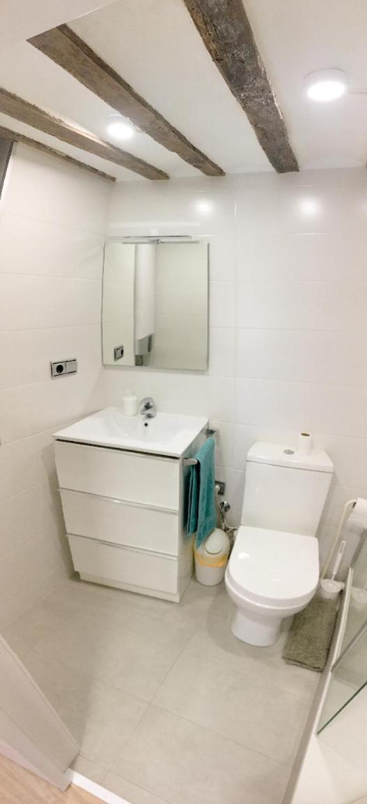 APARTAMENTO LOFT LAUREL coqueto con Aire ac by Apartamentos Logrono org