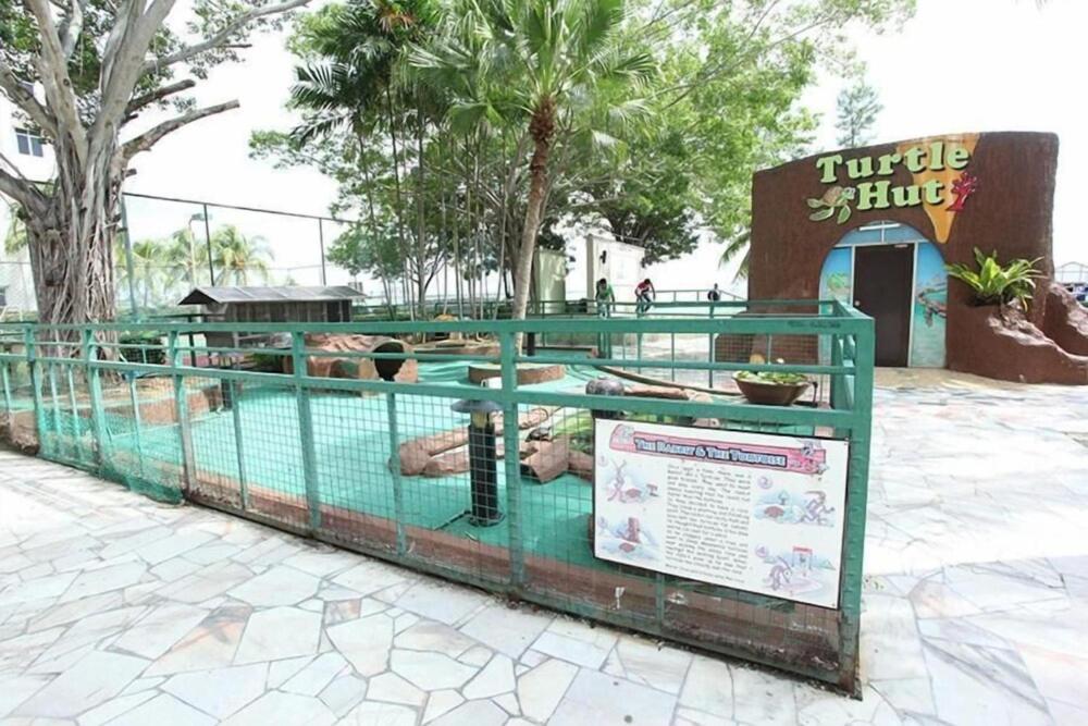 Photo 14