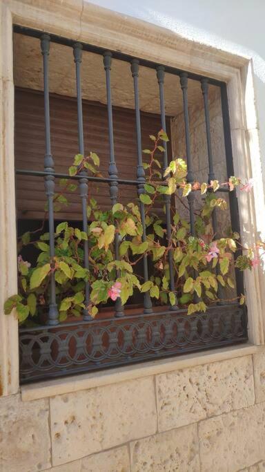 Photo 28