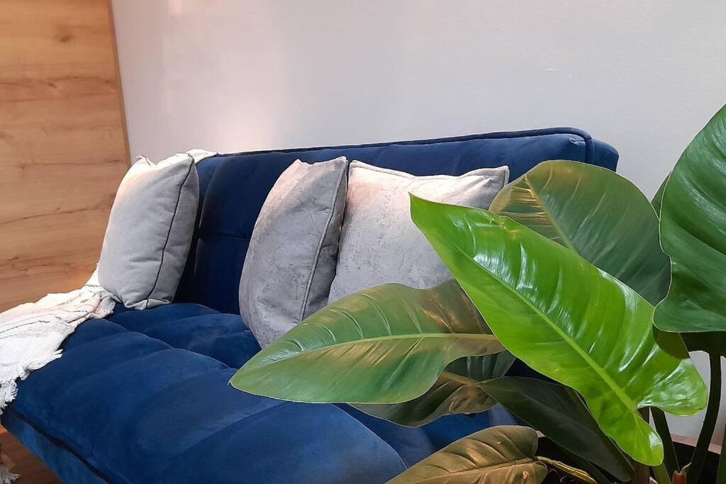 Modern apartment-1 block from El Poblado park