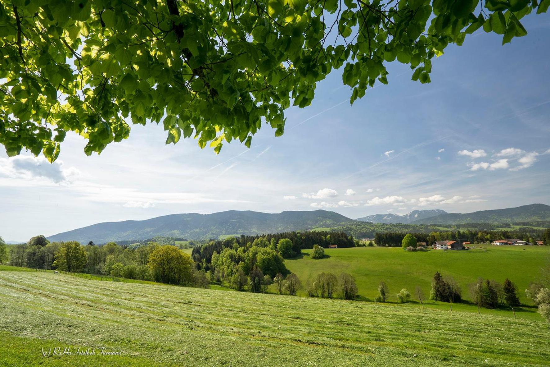 Monteurzimmer am Teisenberg