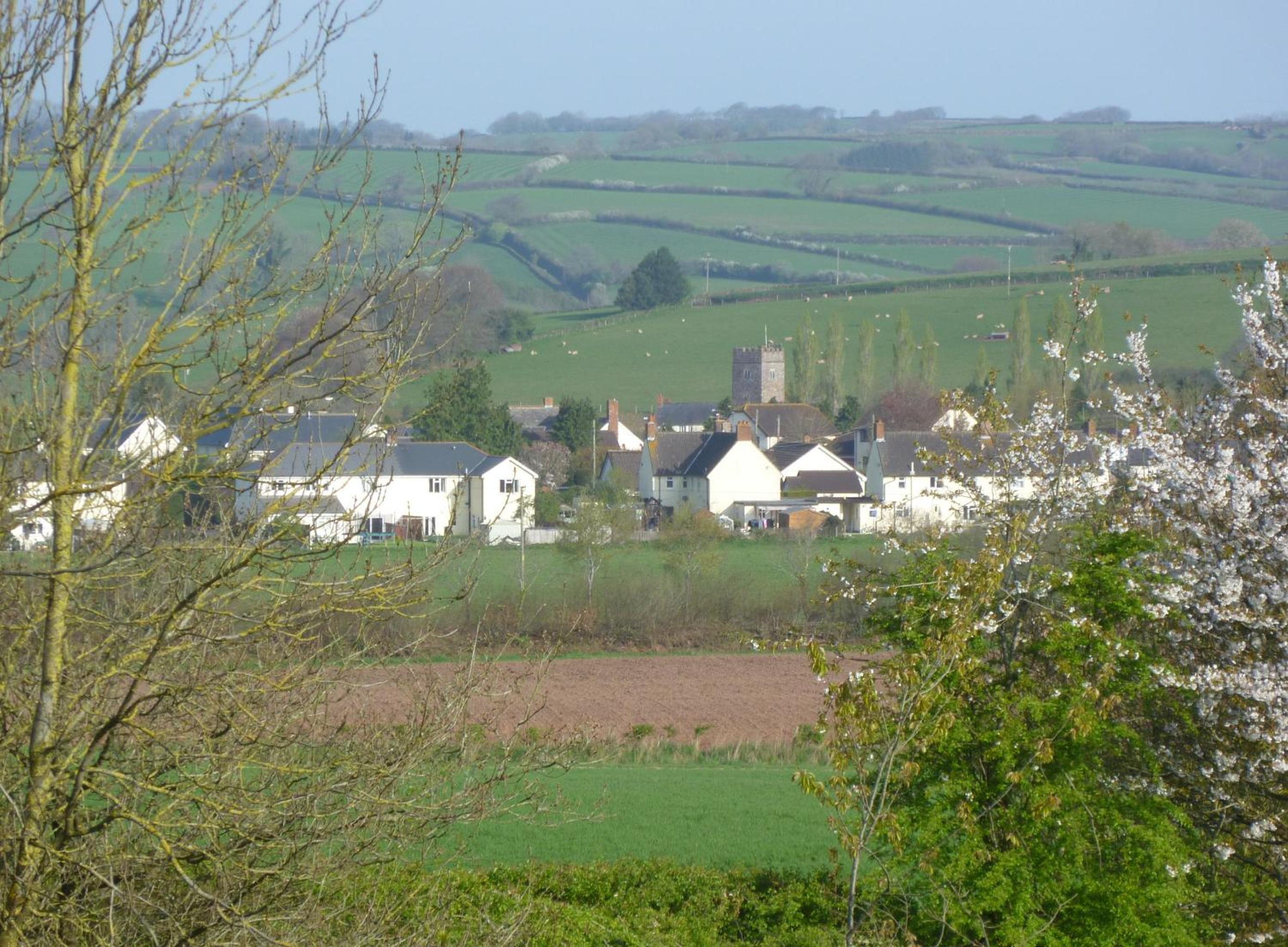Photo 12