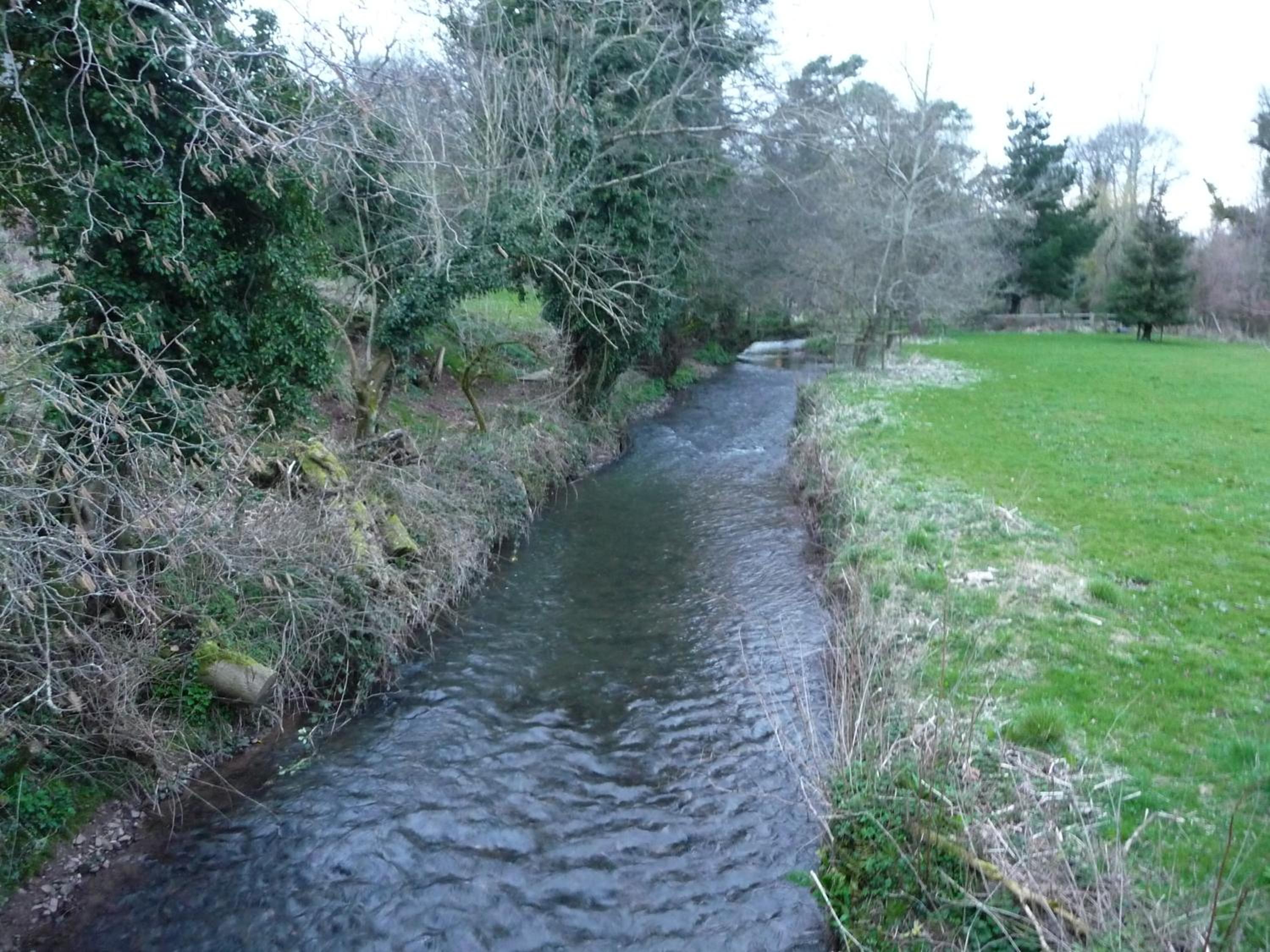 Photo 14