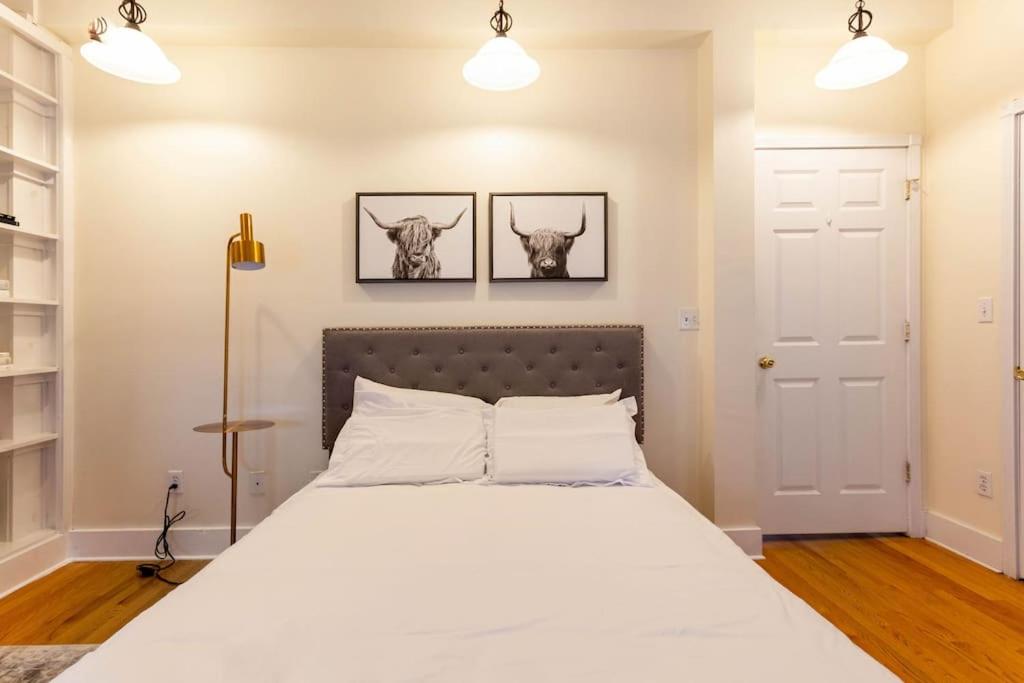 New Haven Vacations - The Brick House Wooster Sq at Yale with Skyline Deck and WD - Property Image 11