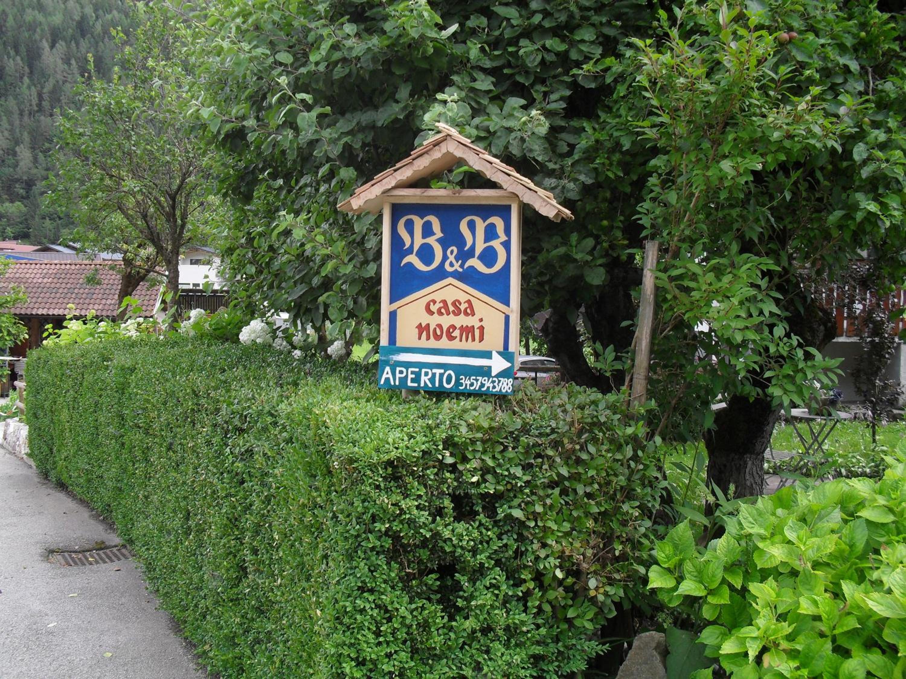 Photo 42