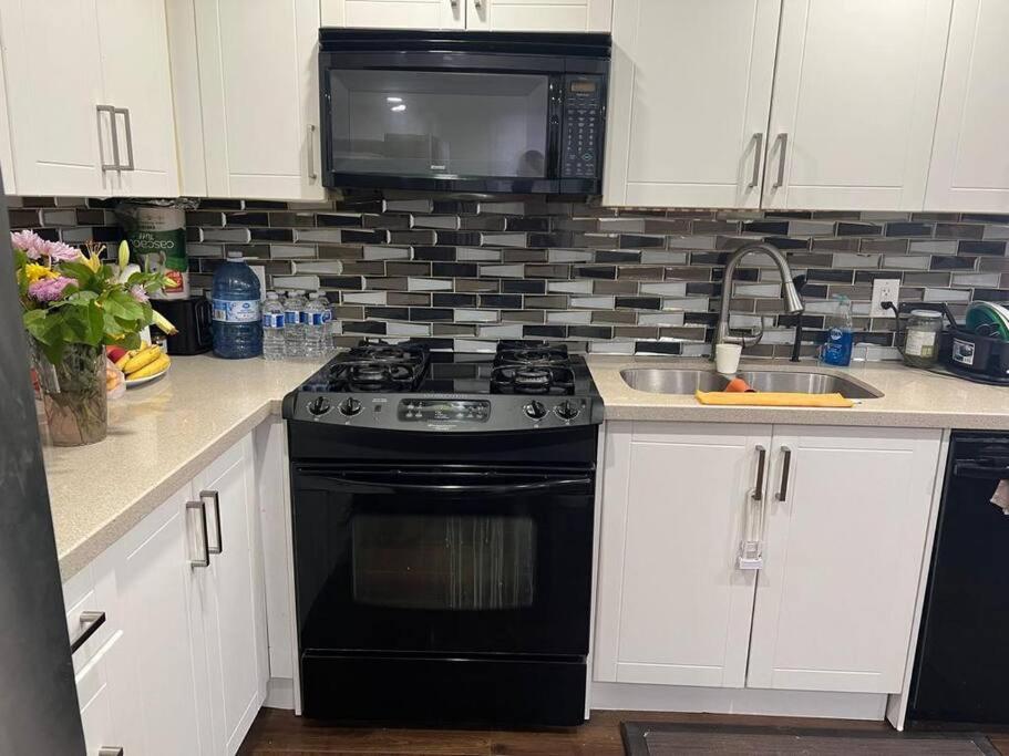 one bedroom basement apartment