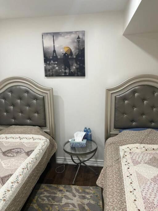 one bedroom basement apartment