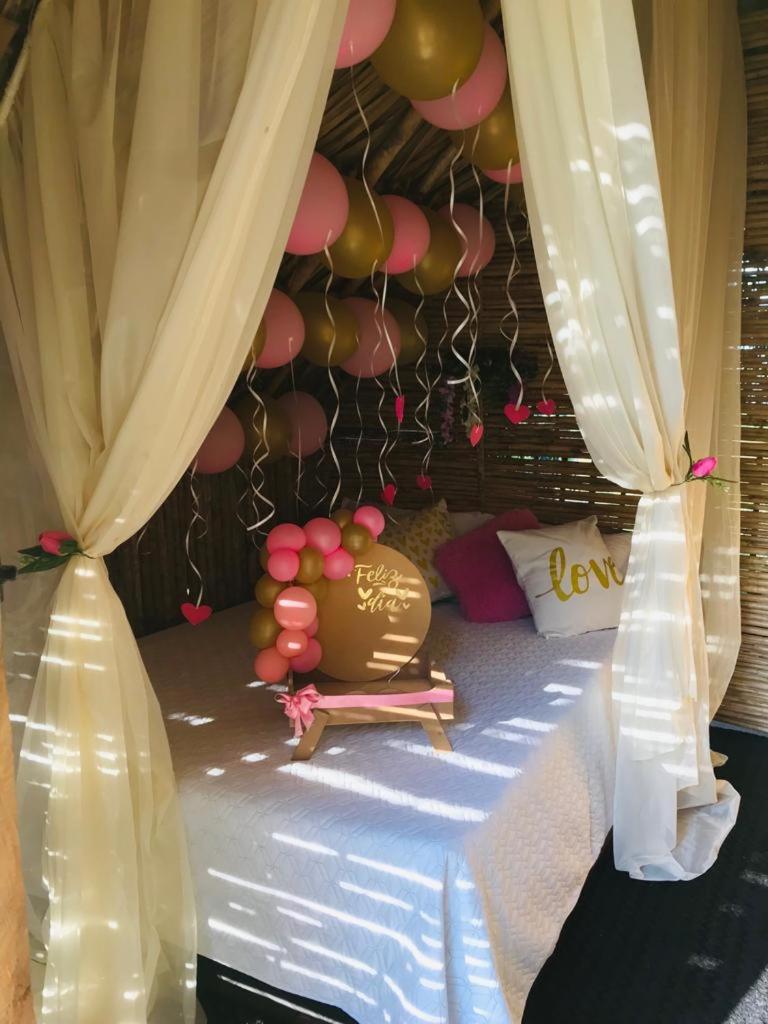 Finca Alto Bonito
