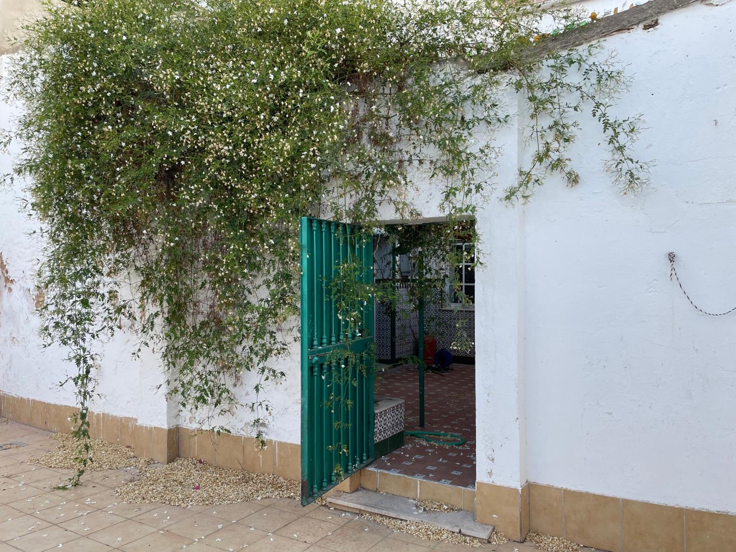 Patios de la Carmela