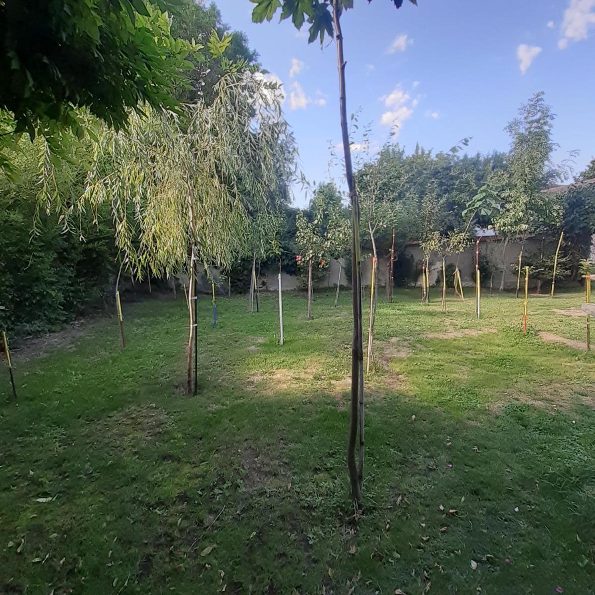 Photo 25