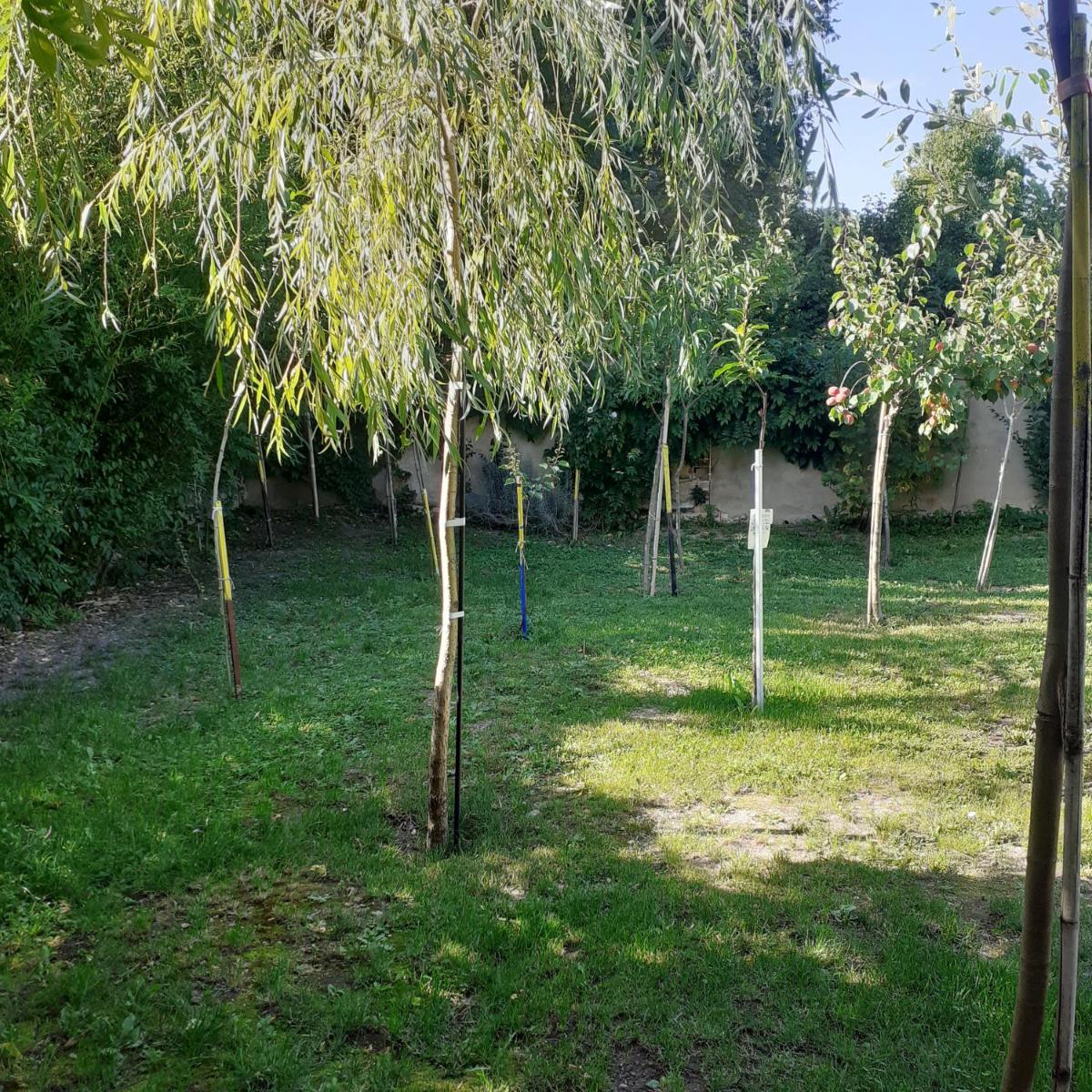 Photo 24