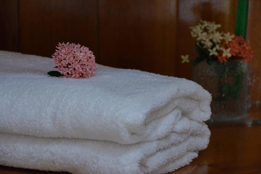 La Fortuna Country House