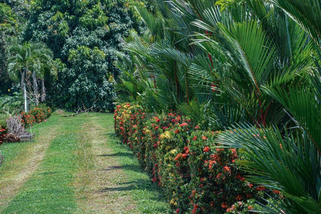La Fortuna Country House