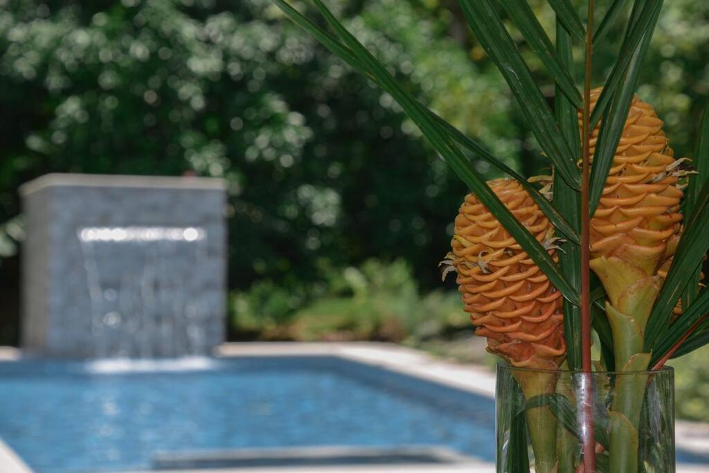 La Fortuna Country House
