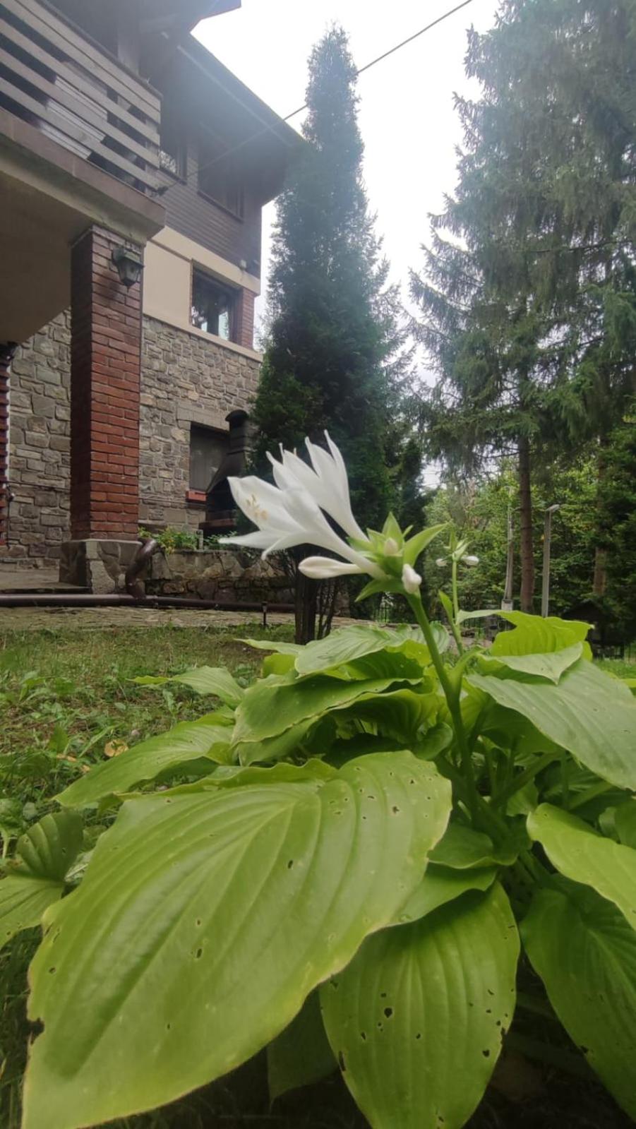 Photo 34