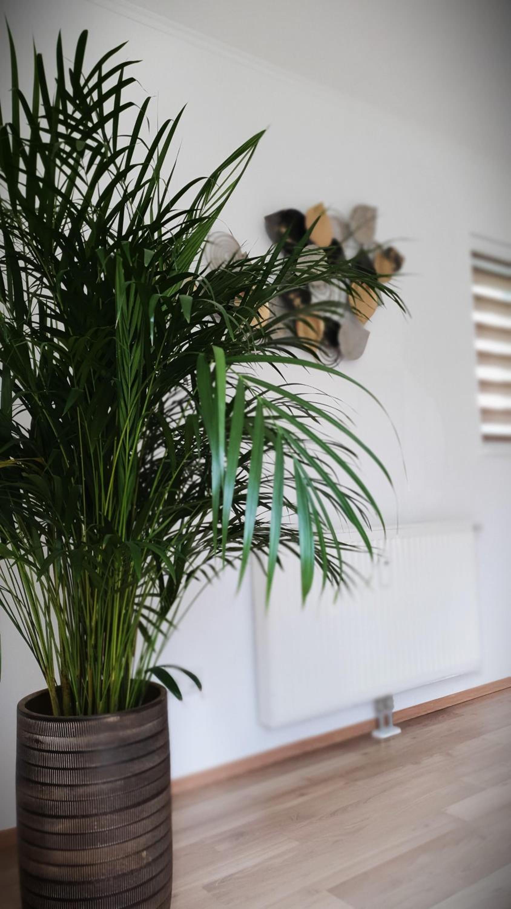 Ferienwohnung Blick ins Grüne